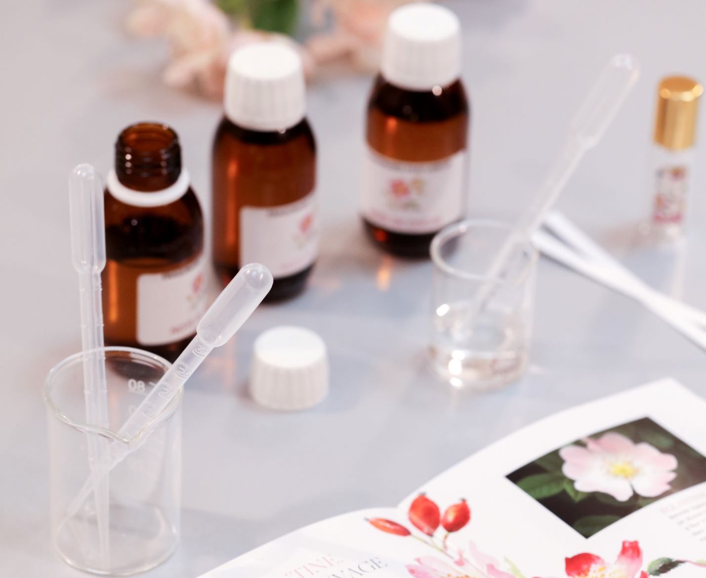 Parfumerie Fragonard : Initiez-vous à la fleur de l'année