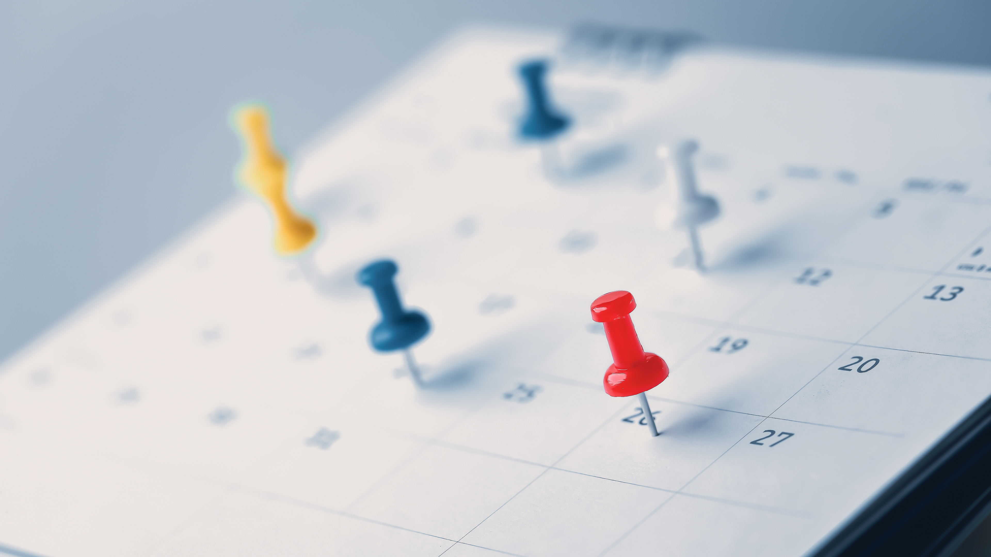 Agenda - Le Cannet Tourisme